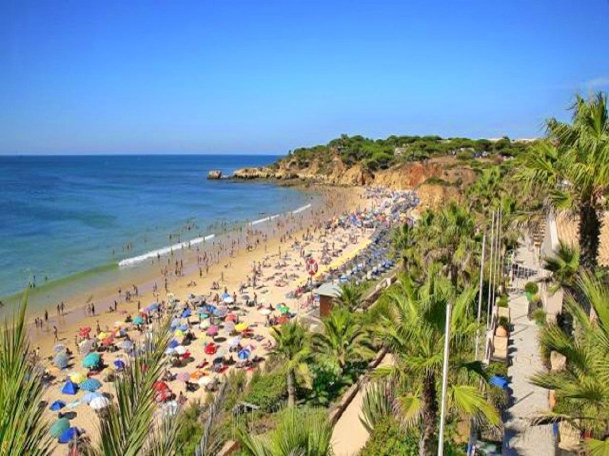 V4, Villa Jardins Branqueira Near Beach, Albufeira Exterior foto
